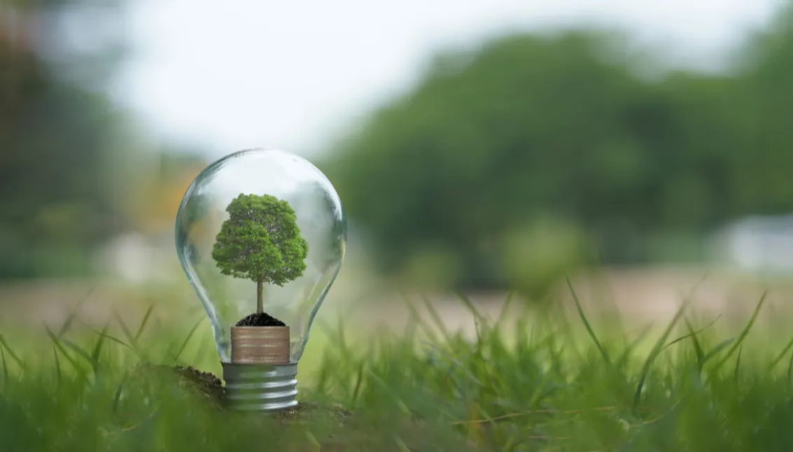 Energieeffizienz – Glühbirne mit Baum auf grüner Wiese