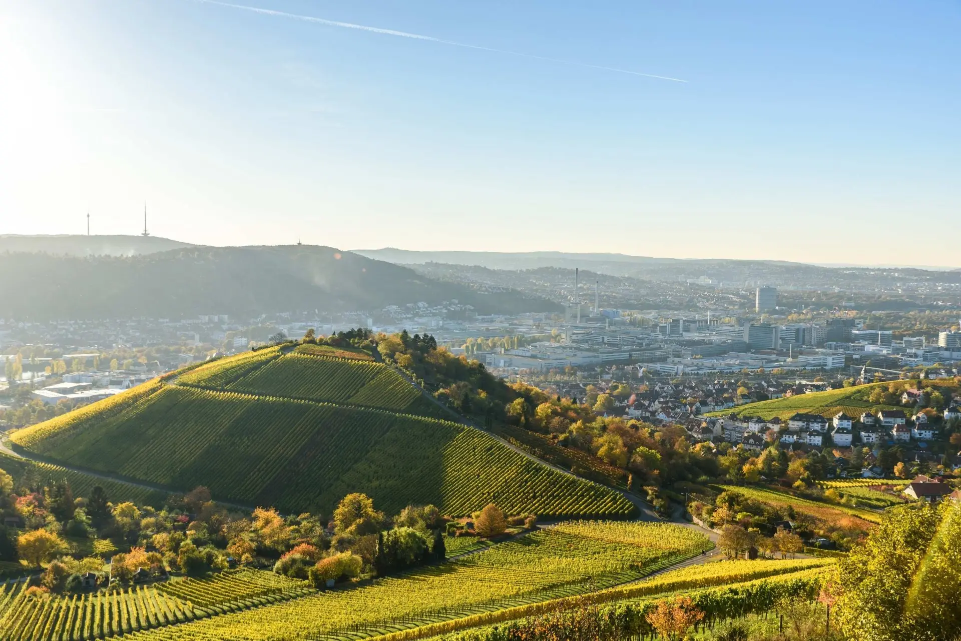 Blick über Leonberg und die Weinberge